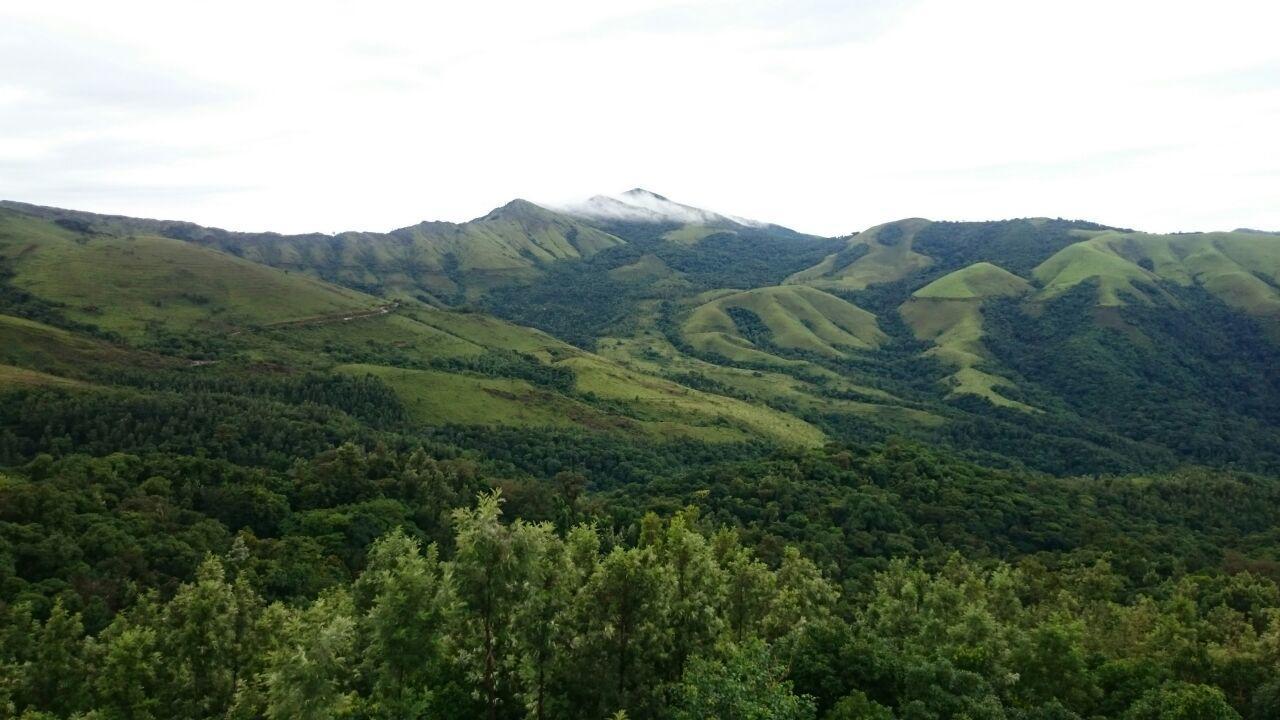 The Greenwood Resort Chikmagalur - Escape To Tranquil Mountain Views Exteriér fotografie